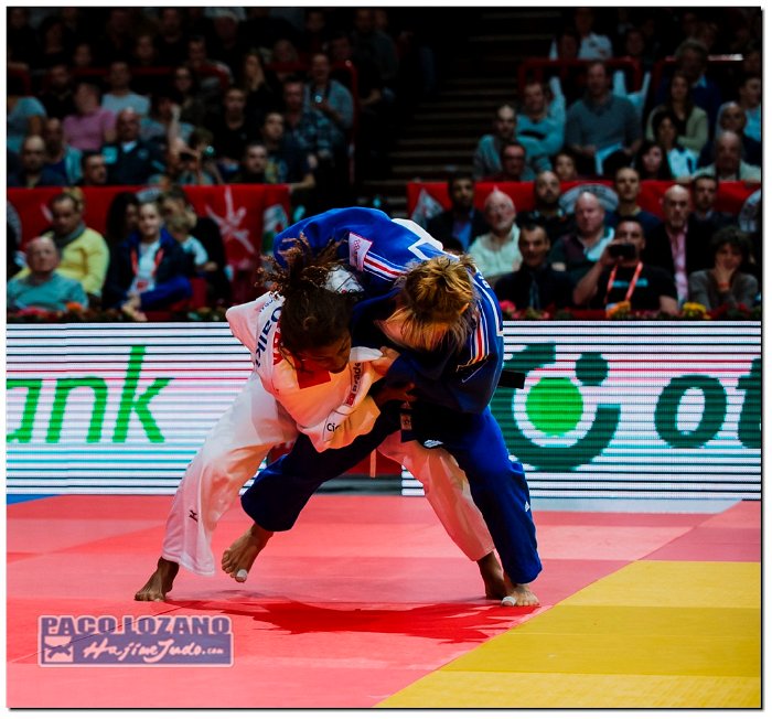 Paris 2014 by P.Lozano cat -57 kg (227)